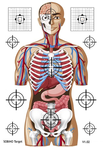 Sobiho terč A1 v102