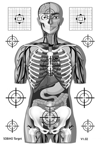 Sobiho terč A1 v102 CB